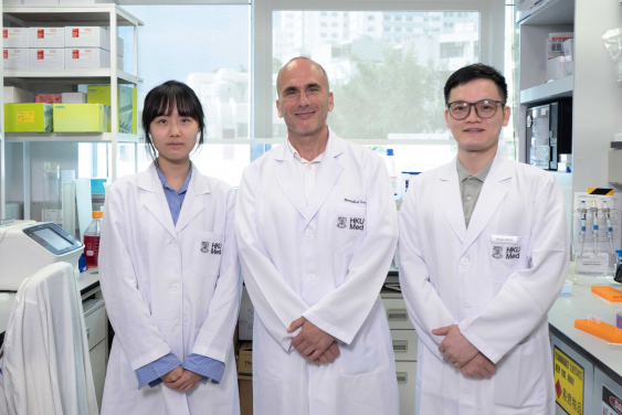 Professor Ralf Jauch (centre), the School of Biomedical Sciences, HKUMed, and his research team have developed an innovative method to transform blood and skin cells into neural stem cells, overcoming limitations of current stem cell research techniques which will help enhance the understanding and treatment for age-related diseases.